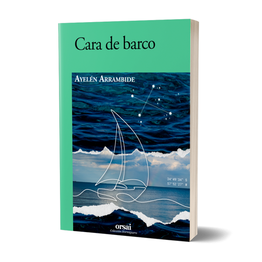 Cara de barco