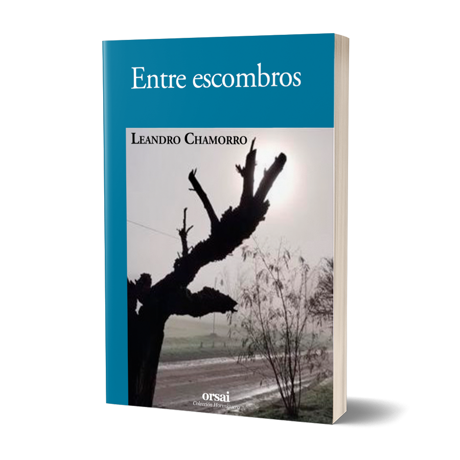 Entre escombros