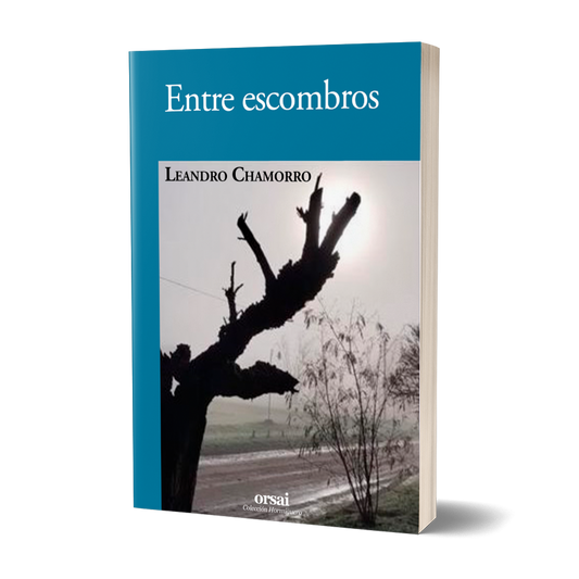 Entre escombros