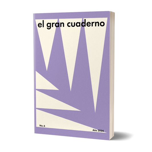 El gran cuaderno — N6