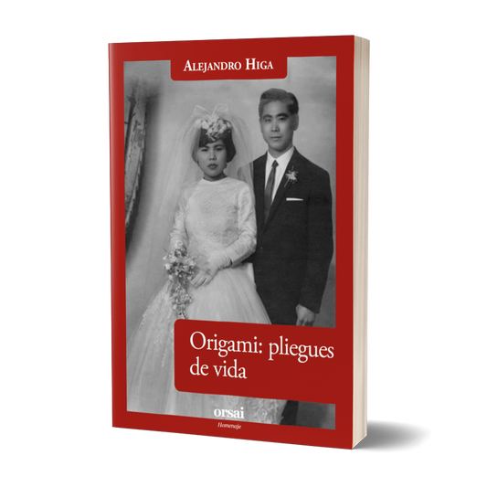 Origami: pliegues de vida
