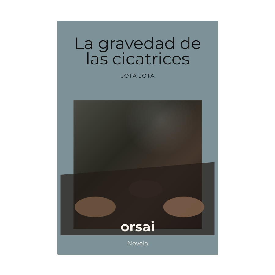 Portada de La gravedad de las cicatrices