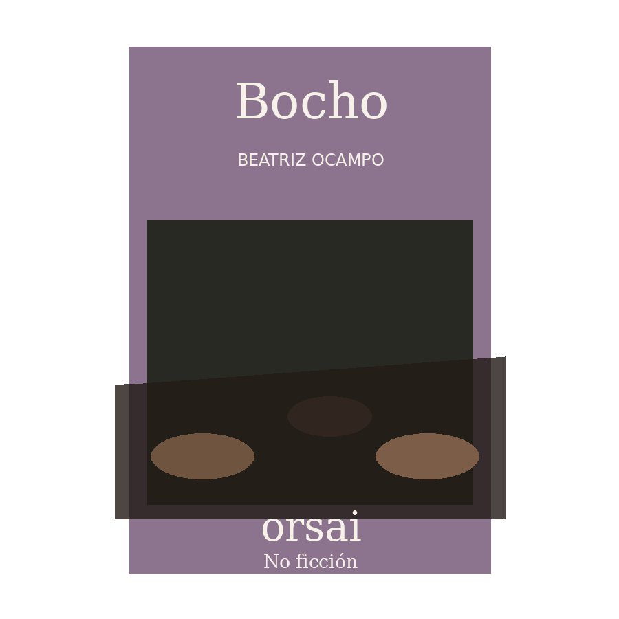 Portada de Bocho