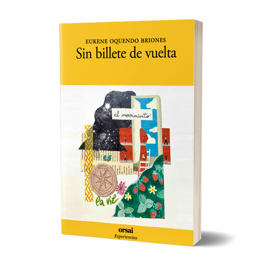 Sin billete de vuelta