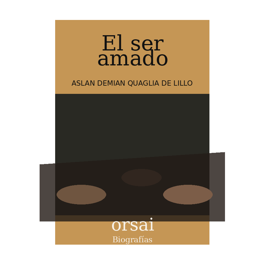Portada de El ser amado